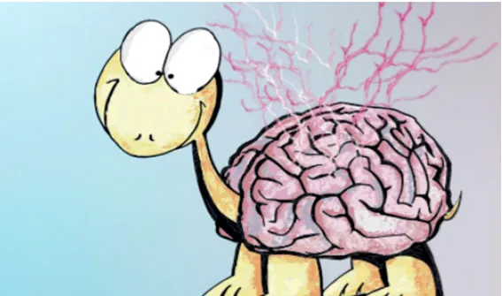 entrevista-montserrat-asensio