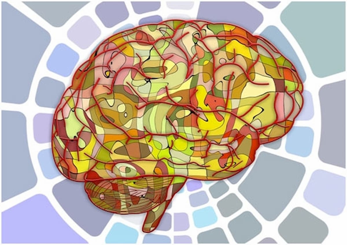 epilepsia sindromes epilepticos idiopaticos generalizados epilepsia sindromes epilepticos idiopaticos generalizados