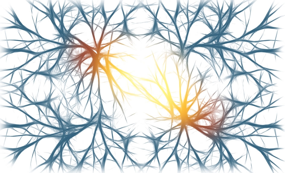 neuronas-crisis-epileptica