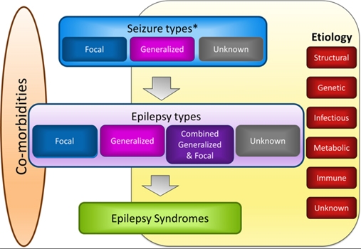 Cambios-clasificacion-Epilepsia