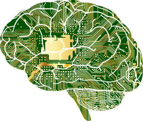 Cerebros falsos para prevenir crisis epilépticas