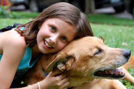 perros de alerta médica